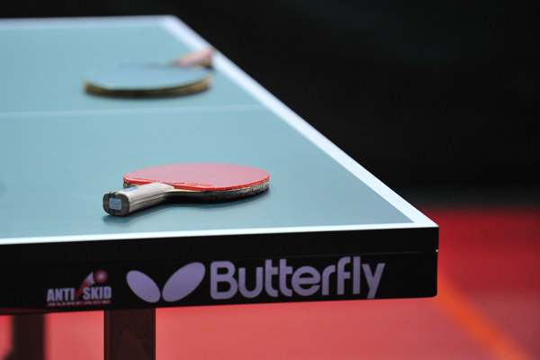 Bats on Table